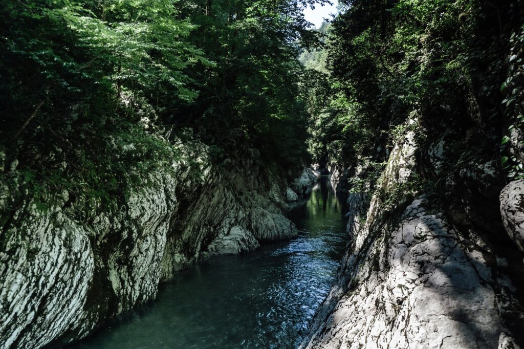 Canyon in the wild rainforest