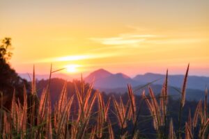 photography tips Sunshine gondola