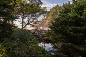 easy hikes near Banff