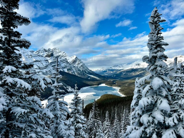 sustainable travel in Banff