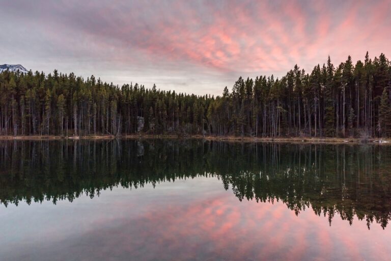 difference between Lake Louise and Moraine Lake