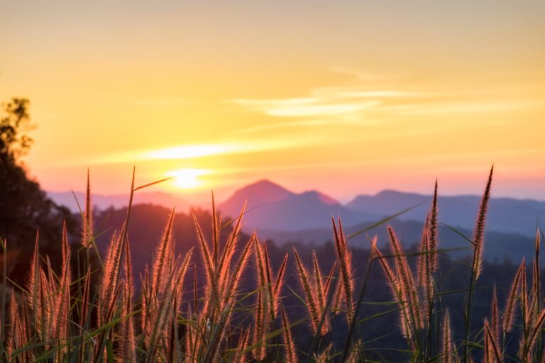 photography tips Sunshine gondola